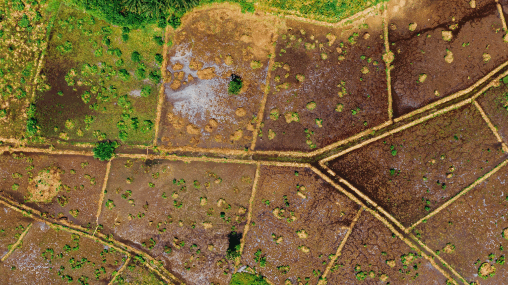 土地譲渡の税金と手続き完全ガイド|有償・無償・特例まで解説