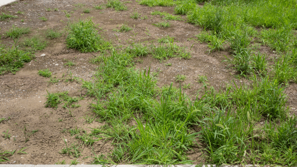 土地を持っているけれど、どう活用すればいいのか分からない…