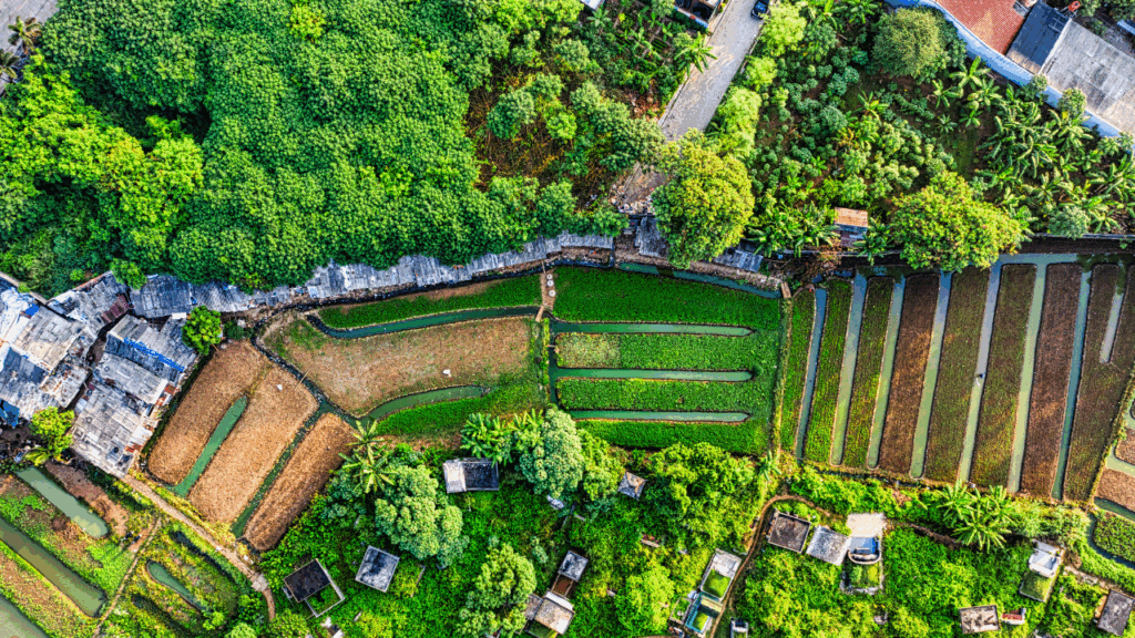 【旗竿地とは?】メリット・デメリットまでやさしく解説|購入前に必ず知るべきポイント