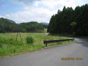 奈良の山林