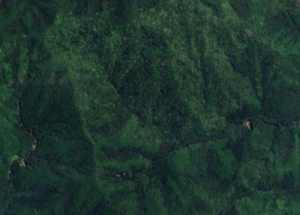 三重県大紀町の山林１万坪