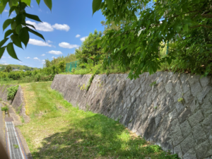 河内長野市日野　竹やぶ