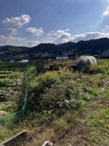 河内長野市日野　畑